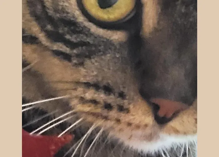 Plug Inn Montmartre By HiphophostelsHotel Pas Cher Paris